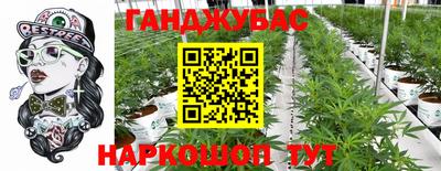 прущие грибы Гусев